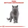 Royal Canin British Shorthair Adult sausas ėdalas katėms 4 kg