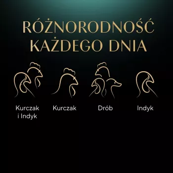 Šlapias kačių maistas Sheba padėkle Padažas Paukštiena (vištiena, kalakutiena) 32 x 85 g padėklas