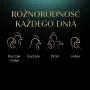 Šlapias kačių maistas Sheba padėkle Padažas Paukštiena (vištiena, kalakutiena) 32 x 85 g padėklas