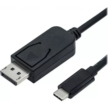 ROLINE adapterinis kabelis USB-C (kištukas) į DisplayPort (kištukas), 2 m, bi-direkcinis, palaiko 4K 60 Hz