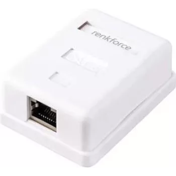 Renkforce tinklo adapteris paviršiniam montavimui CAT 6 1 prievadas baltas (RF-4541182)