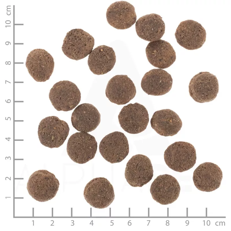 Sausas šunų ėdalas Wolfsblut VetLine Hypoallergenic Horse 12 kg, monoproteininis, 20% baltymų, be grūdų ir glitimo