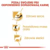 Sausas šunų ėdalas Royal Canin Cavalier King Charles Adult 1,5 kg — Vištiena, Mažos veislės, Oda ir kailis, Širdies palaikymas