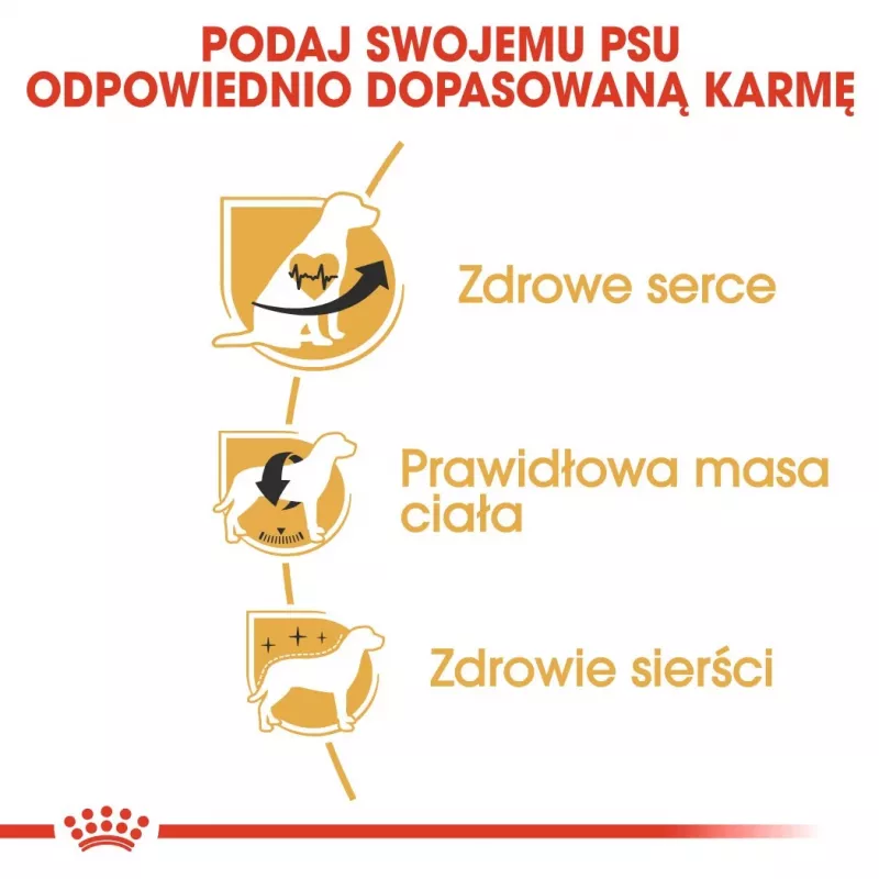 Sausas šunų ėdalas Royal Canin Cavalier King Charles Adult 1,5 kg — Vištiena, Mažos veislės, Oda ir kailis, Širdies palaikymas