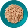 Šlapias kačių ėdalas Applaws Tuna Fillet with Mackerel in Jelly 70 g maišelis, suaugusioms katėms, 82% drėgmė, 13% baltymai