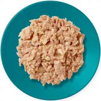 Šlapias kačių ėdalas Applaws Tuna Fillet with Mackerel in Jelly 70 g maišelis, suaugusioms katėms, 82% drėgmė, 13% baltymai