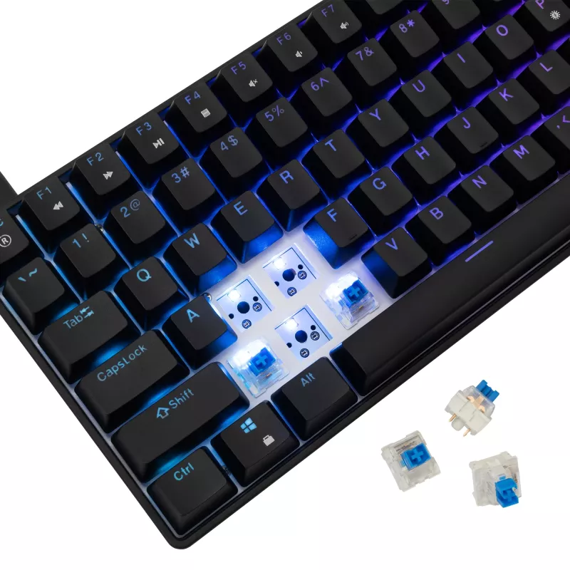 Mechaninė klaviatūra White Shark GK-005121 su RGB apšvietimu ir Blue jungikliais