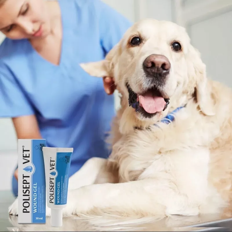 Žaizdų gelis JM Sante Polisept Vet 30 ml šunims ir katėms, tūtelė 30 ml, 50 g