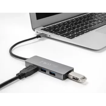 DeLOCK 63171 USB 3.2 Gen 1 4 prievadų USB-A šakotuvas, pilkas, metalinis korpusas