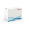 Xerox Transfer Roller, WorkCentre 7525/7530/7535/7545/7556, 1 vnt.