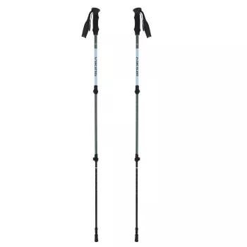 Trekkingo lazdos suaugusiems VIKING Kivi 2.0 Trekking Green UNI