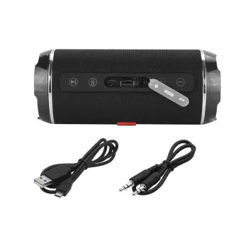 BLOW BT460 Belaidis stereo garsiakalbis, juodas / sidabrinis, 10 W