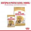 ROYAL CANIN Shih Tzu Adult šlapias šunų ėdalas Pâté 12x85 g