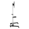SBOX FS-444 fiksuotas TV laikiklis sienai 37–86 colių, iki 50 kg, VESA iki 600×400