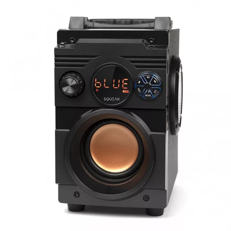 Squeak Bassblaster Bluetooth 5.1 garsiakalbis, FM radijas, MP3 grotuvas SQ1001
