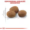 ROYAL CANIN Sterilised 7+ – sausas ėdalas katėms – 10 kg