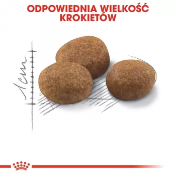 ROYAL CANIN Sterilised 7+ – sausas ėdalas katėms – 10 kg