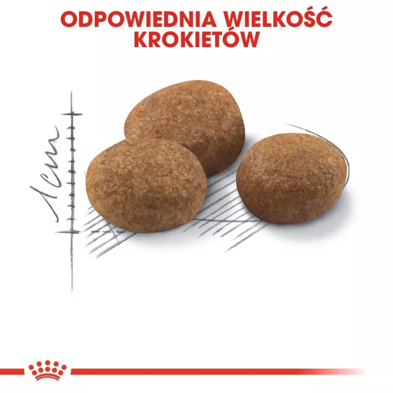 ROYAL CANIN Sterilised 7+ – sausas ėdalas katėms – 10 kg