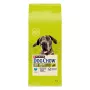 Purina DOG CHOW Large Breed Adult 14 kg Turkija