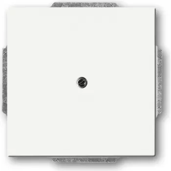 BUSCH JAEGER 1742-884 – Baltas – Metalinis – Plastikinis – Matinis – 63 mm x 63 mm