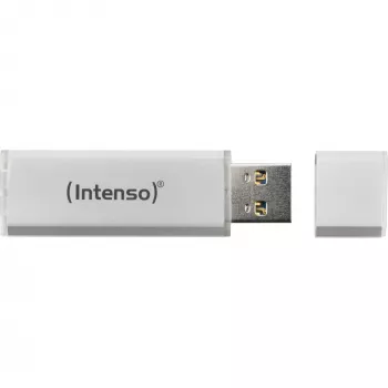 USB atmintukas Intenso 256 GB USB Type-A 3.2 Gen 1 sidabrinis