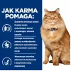 HILL'S PD K/D Kidney + Mobility Chicken - sausas kačių ėdalas - 3kg