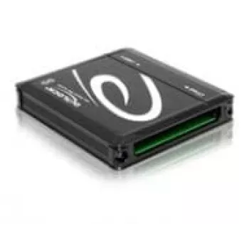 Delock 91686 USB 3.0 CFast kortelių skaitytuvas