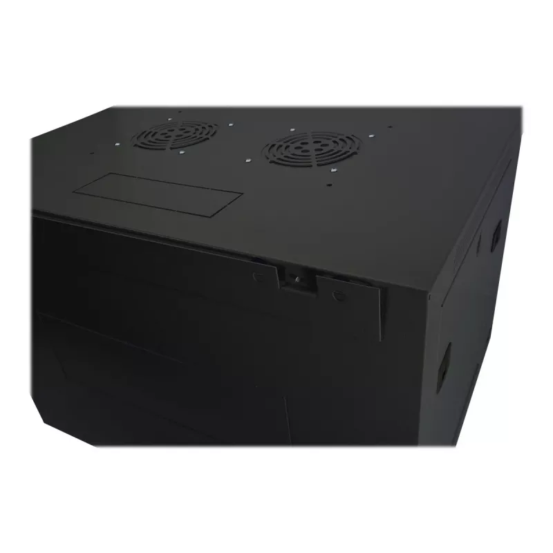DIGITUS Dynamic Basic DN-19 16-U-EC-SW - tinklo spinta, skirta montavimui ant sienos, RAL 9005, 16U, 48,3 cm (19 inch)