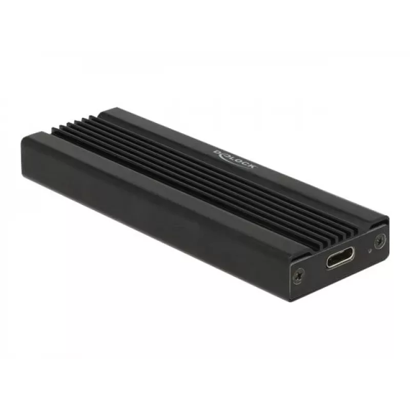 Kortelė DeLOCK 42600 USB 3.2 Gen 1 M.2 NVMe SSD dėklas
