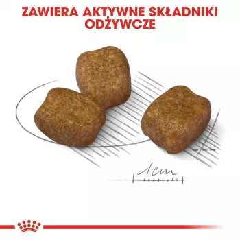 Sausas šunų ėdalas Royal Canin Mini Dental Care 3 kg – suaugusioms mažų veislių šunims, paukštienos skonio, dantų priežiūrai