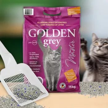 GOLDEN Grey Master - bentonitinis kačių kraikas - 7 kg