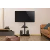 Gembird TVS-75S-02 TV grindinis stovas su ratukais, 37–75 col., juodas