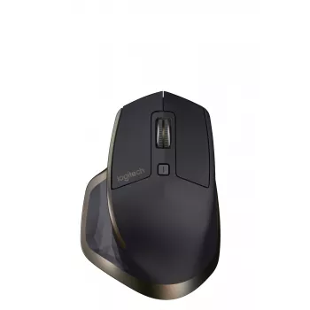 PELĖ USB BELAIDĖ LAZERINĖ MX MASTER / 910-005213 LOGITECH