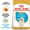 Sausas šunų ėdalas Royal Canin Golden Retriever Junior 12 kg – paukštiena, 29% baltymų, 16% riebalų