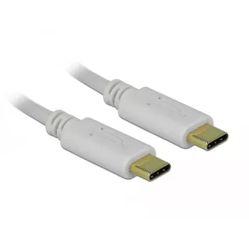 Delock USB-C / maitinimo laidas 24 pin USB-C (M) į 24 pin USB-C (M) 5 A 15 cm USB-Power Supply (100 W), Palaiko Power Delivery 2.0, Baltas (85357)