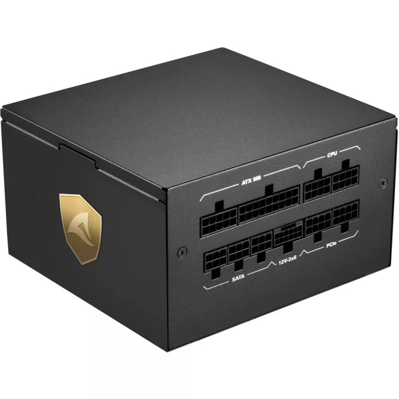 Sharkoon Rebel P20 maitinimo blokas 1200 W 24-pin ATX ATX juodas