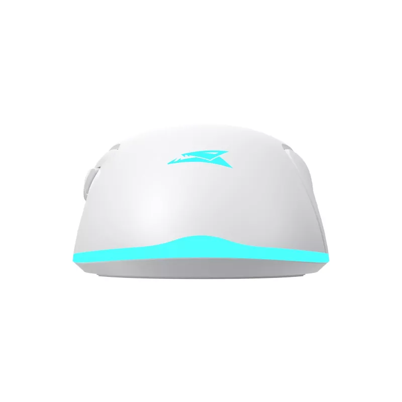 Belaidė pelė Baracuda BGM-122 Turtle White TURTLE-W