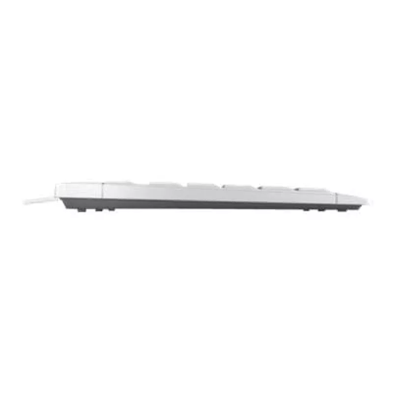CHERRY STREAM TKL klaviatūra USB QWERTZ Vokiška Balta