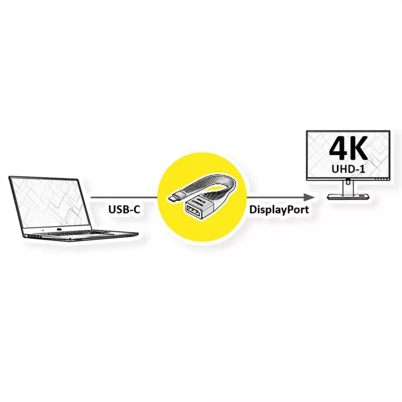 ROTRONIC-SECOMP Roline - adapterio laidas - USB-C (kištukas) į DisplayPort (lizdas)