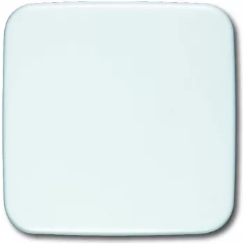 Busch Jaeger 1576 C-214 White (1582-0-0354)
