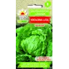 Sėklos Crisp Ice Lettuce Summer Toraf daržovių, 1g pakuotė