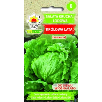 Sėklos Crisp Ice Lettuce Summer Toraf daržovių, 1g pakuotė
