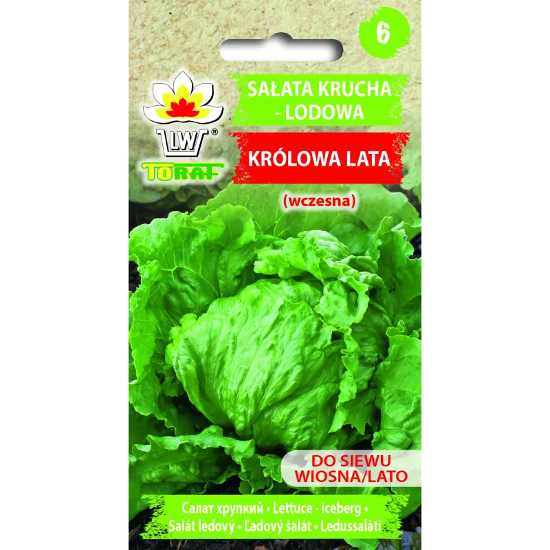 Sėklos Crisp Ice Lettuce Summer Toraf daržovių, 1g pakuotė