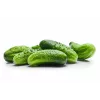 Agurkų Sėklos Srem Cucumber F1 Toraf, 5g Pakuotė