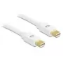 DeLOCK DisplayPort kabelis Mini-DisplayPort (M) – Mini-DisplayPort (M) 2,0 m baltas, skirtas Apple MacBook, MacBook Air, MacBook Pro (82795)