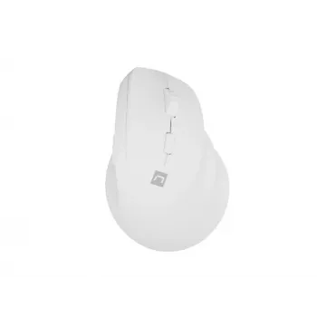 NATEC Crake 2 pelė universali Dešiniajai rankai RF belaidė + Bluetooth optinė 2400 DPI