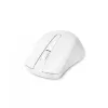 Belaidė RF pelė DICOTA D31659W, USB Type-C, balta