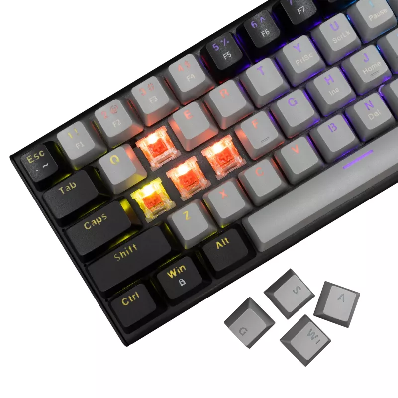 Mechaninė žaidimų klaviatūra White Shark WAKIZASHI-2 US išdėstymas pilkai juoda su raudonais jungikliais