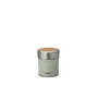 Termosas Thermos Preppen vakuuminis 700 ml Mėtinis