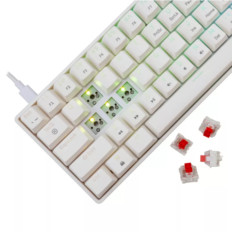 Laidinė mechaninė klaviatūra White Shark Shinobi-2 (GK-004211) — US išdėstymas, Red jungikliai, balta
